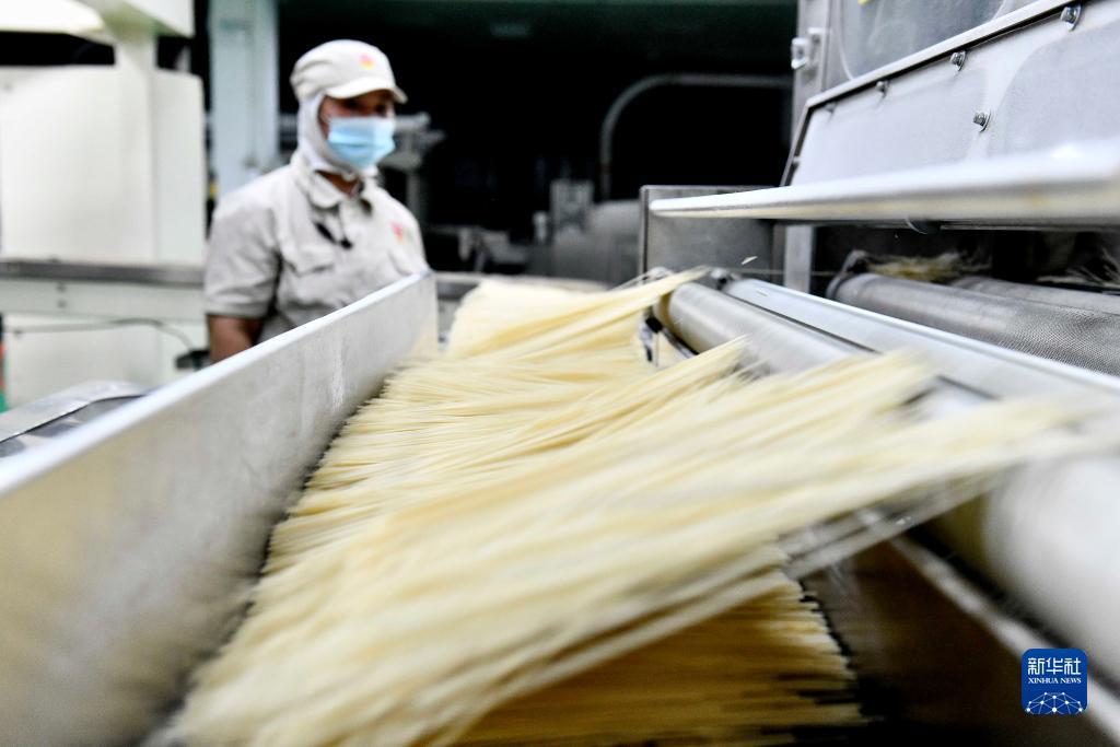 威尼斯正规官网